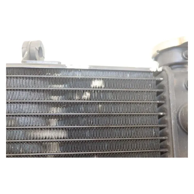 Radiateur eau HONDA CBR 900 RR FIREBLADE 2000 - 2001