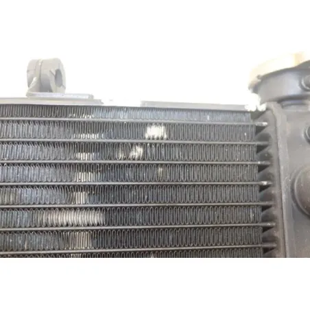 Radiateur eau HONDA CBR 900 RR FIREBLADE 2000 - 2001