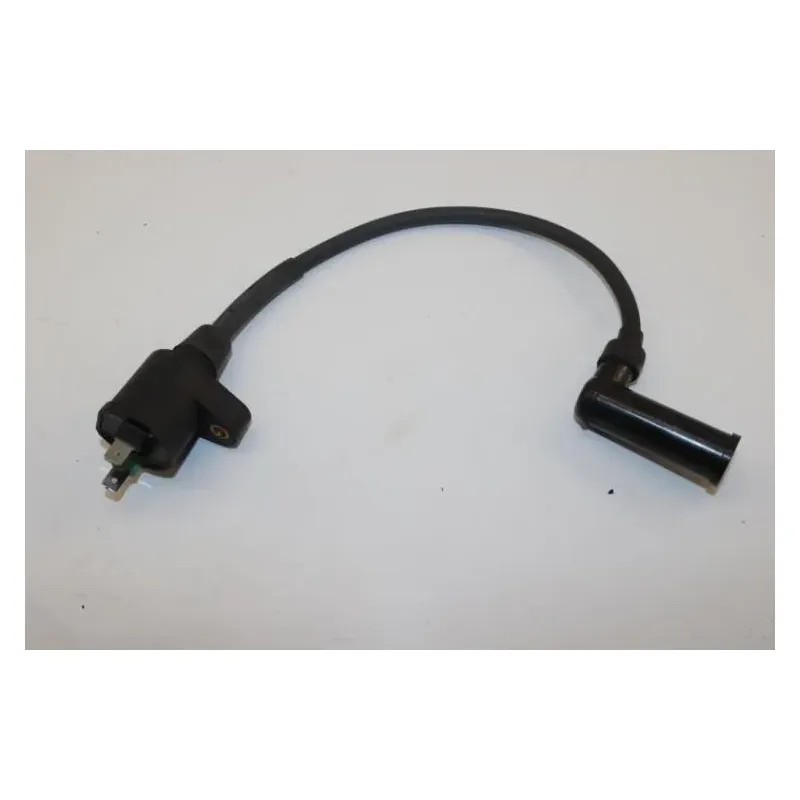 Bobine allumage PIAGGIO X EVO 125 2007 - 2016