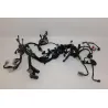 Faisceau electrique KAWASAKI Z 900 ABS 2020 - 2021