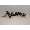 Faisceau electrique KAWASAKI Z 900 ABS 2020 - 2021