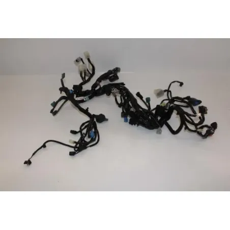 Faisceau electrique KAWASAKI Z 900 ABS 2020 - 2021