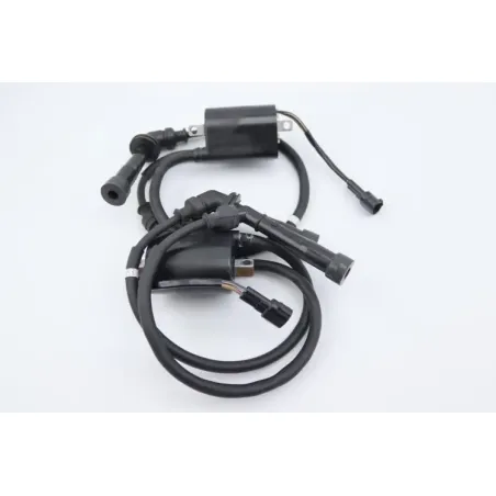 Bobine allumage SUZUKI SFV 650 GLADIUS 2009 - 2015