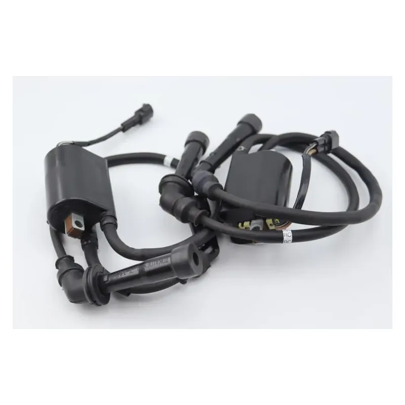 Bobine allumage SUZUKI SFV 650 GLADIUS 2009 - 2015