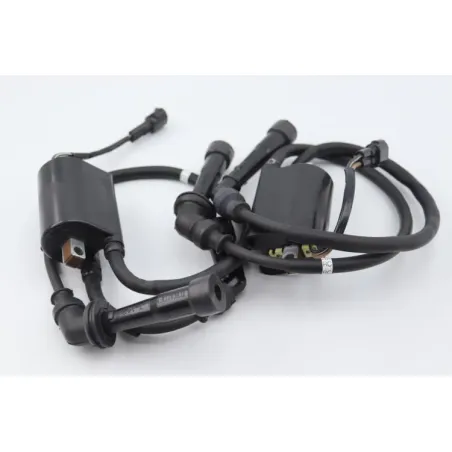 Bobine allumage SUZUKI SFV 650 GLADIUS 2009 - 2015