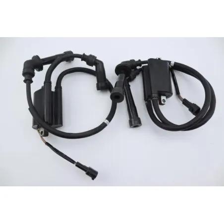 Bobine allumage SUZUKI SFV 650 GLADIUS 2009 - 2015