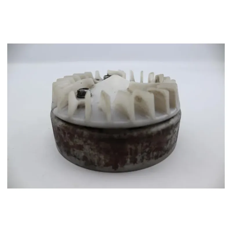 Rotor volant moteur HONDA NSS 125 FORZA 2021 - 2021