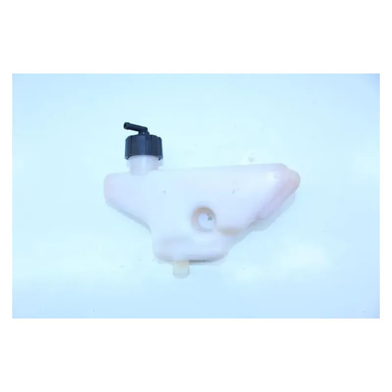 Vase expansion YAMAHA YP 125 MAJESTY 2003 - 2006
