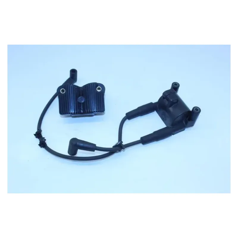 Bobine allumage HARLEY DAVIDSON FXDL 1690 DYNA LOW RIDER 2014 - 2017