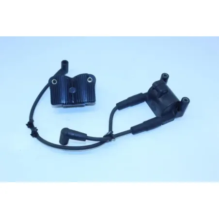 Bobine allumage HARLEY DAVIDSON FXDL 1690 DYNA LOW RIDER 2014 - 2017