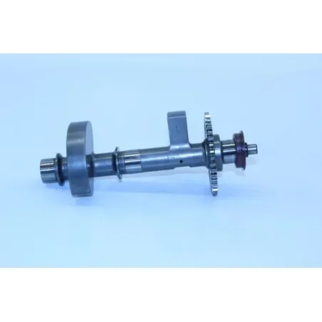 Arbre equilibrage KTM DUKE 790 ABS 2018 - 2019