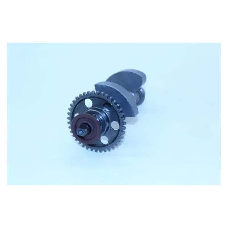 Arbre equilibrage KTM DUKE 790 ABS 2018 - 2019