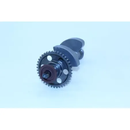 Arbre equilibrage KTM DUKE 790 ABS 2018 - 2019
