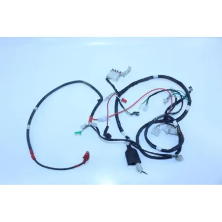 Faisceau electrique SYM FIDDLE III 50 2014 - 2016