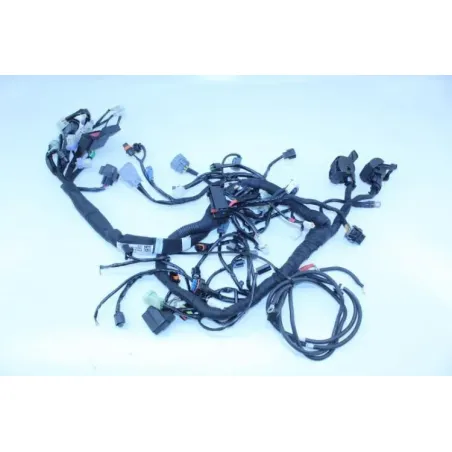 Faisceau electrique KTM DUKE 790 ABS 2018 - 2019