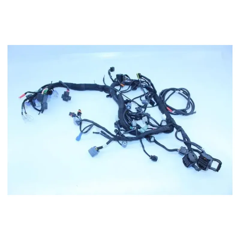 Faisceau electrique KTM DUKE 790 ABS 2018 - 2019