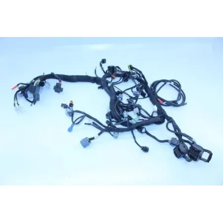 Faisceau electrique KTM DUKE 790 ABS 2018 - 2019