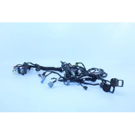 Faisceau electrique KTM DUKE 790 ABS 2018 - 2019