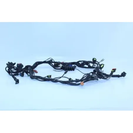 Faisceau electrique DUCATI MULTISTRADA 1100 S ABS 2007 - 2009