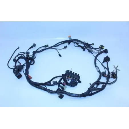 Faisceau electrique DUCATI MULTISTRADA 1100 S ABS 2007 - 2009
