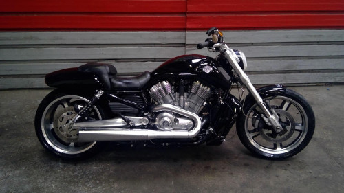 HARLEYDAV V-ROD MUSCLE