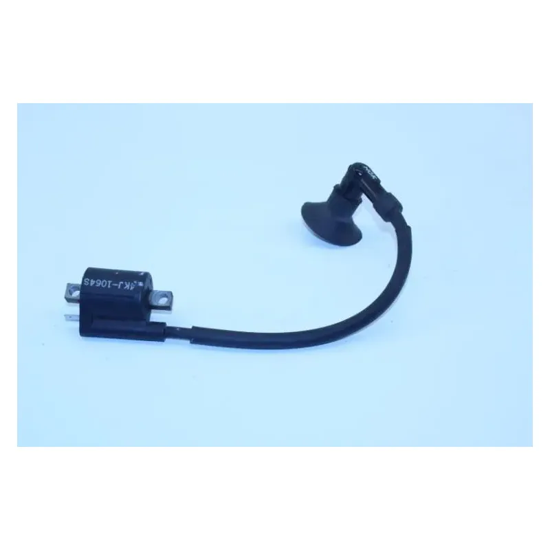 Bobine allumage YAMAHA CW 50 BWS 2013 - 2018