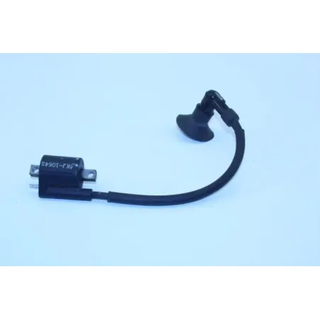 Bobine allumage YAMAHA CW 50 BWS 2013 - 2018