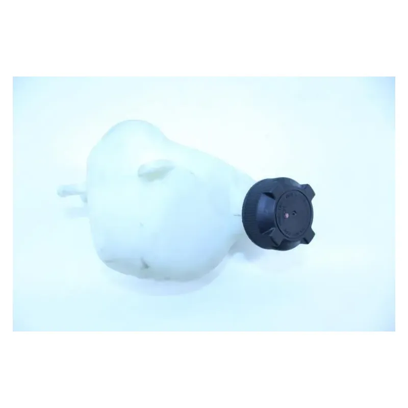 Vase expansion PEUGEOT GEOPOLIS 125 2007 - 2010
