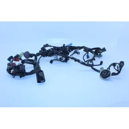 Faisceau electrique HONDA CB 650 F ABS 2014 - 2016