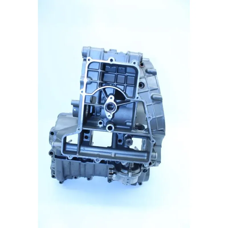 Carter moteur BENELLI TNT 899 2011 - 2013