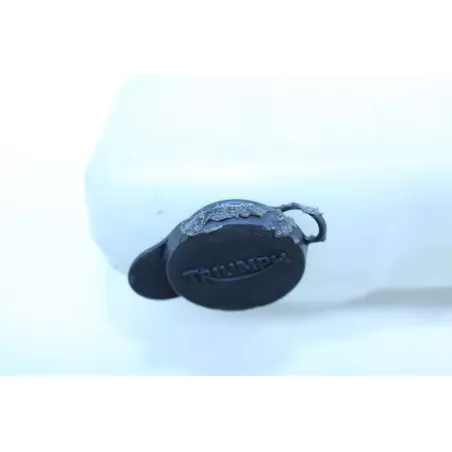 Vase expansion TRIUMPH STREET TRIPLE 675 2009 - 2011