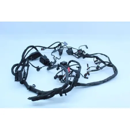 Faisceau electrique BMW F 800 R 2017 - 2019