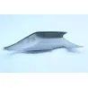 Coque arriere gauche BMW K 1200 S 2005 - 2008