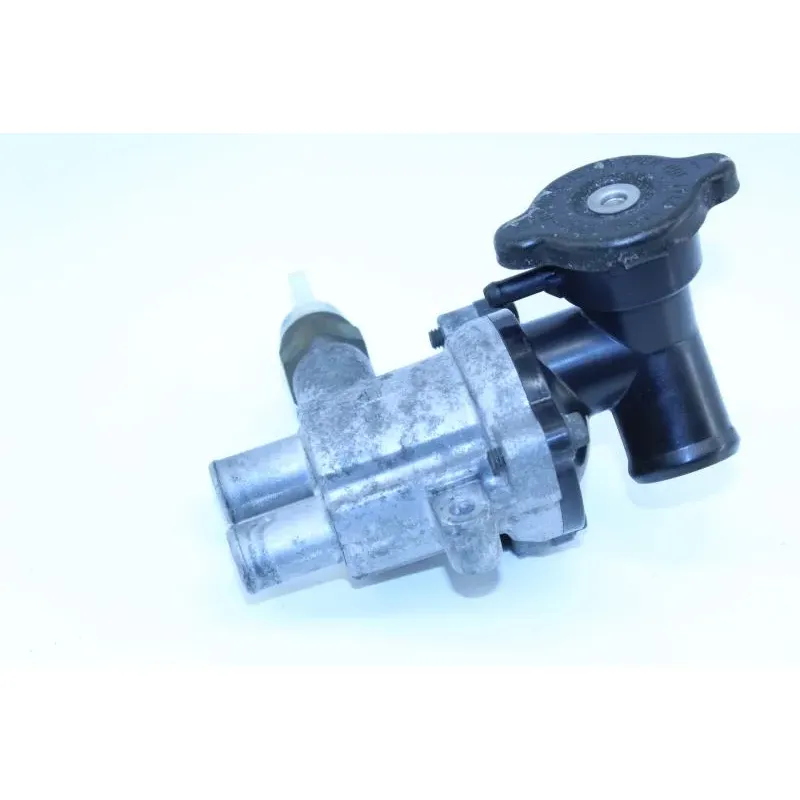 Thermostat YAMAHA FZS 600 FAZER 1998 - 2001