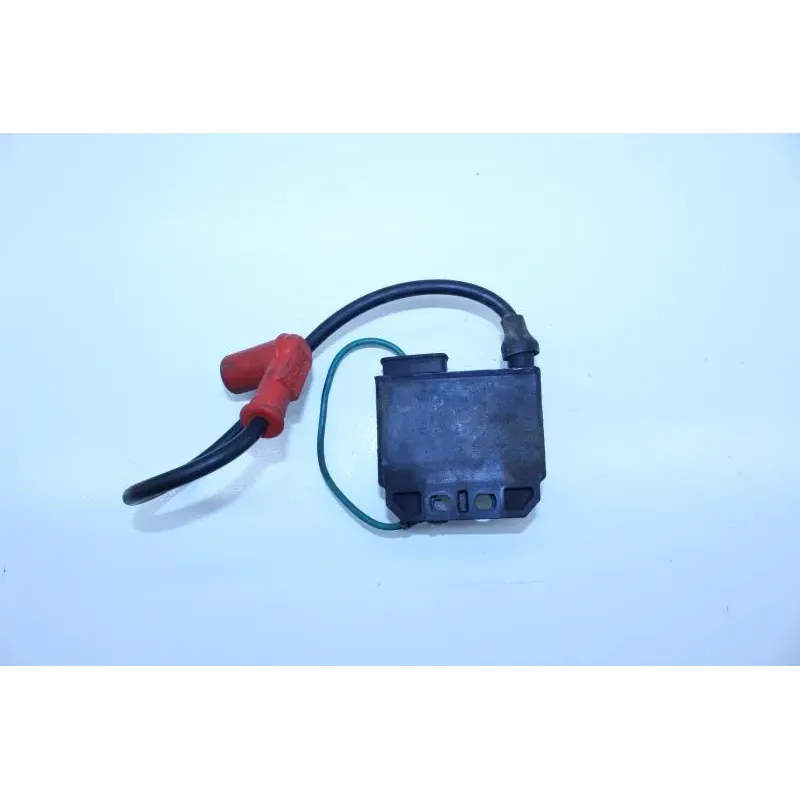 Boitier cdi RIEJU MRX 50 2001 - 2008