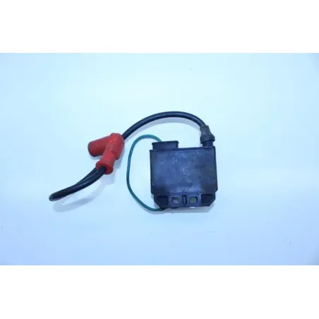 Boitier cdi RIEJU MRX 50 2001 - 2008