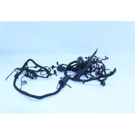 Faisceau electrique BMW K 1300 R 2009 - 2015