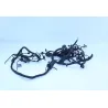 Faisceau electrique BMW K 1300 R 2009 - 2015