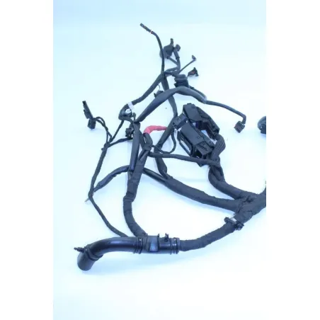 Faisceau electrique BMW K 1300 R 2009 - 2015