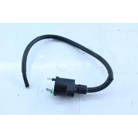 Bobine allumage PEUGEOT KISBEE 50 2010 - 2020
