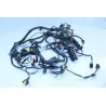 Faisceau electrique APRILIA RSV4 FACTORY 1000 2011 - 2012 Faisceau electrique APRILIA RSV4 FACTORY 1000 2011 - 2012