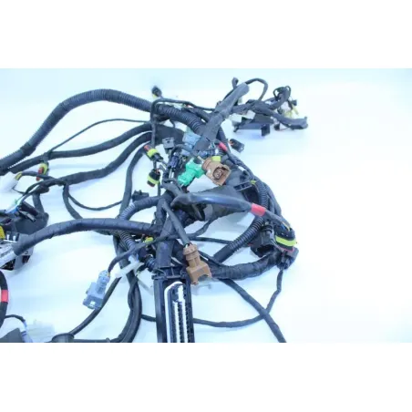 Faisceau electrique APRILIA RSV4 FACTORY 1000 2011 - 2012