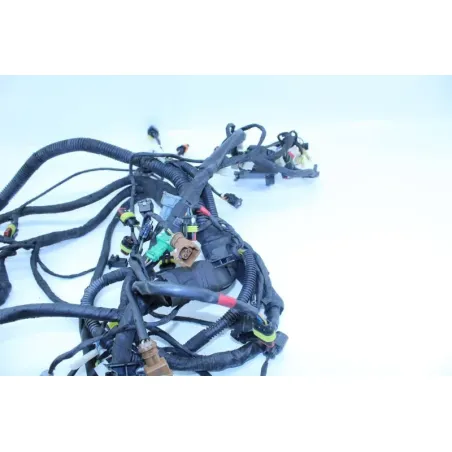 Faisceau electrique APRILIA RSV4 FACTORY 1000 2011 - 2012