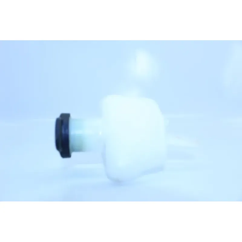 Vase expansion RIDE GT 125 2013 - 2016