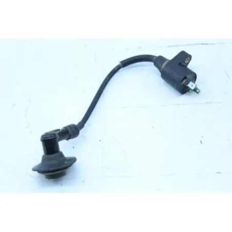 Bobine allumage PEUGEOT STREETZONE 50 2011 - 2017