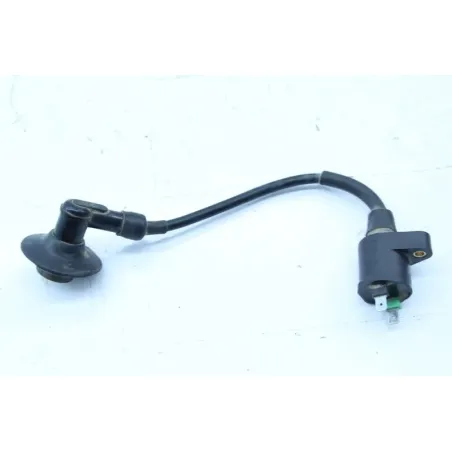 Bobine allumage PEUGEOT STREETZONE 50 2011 - 2017