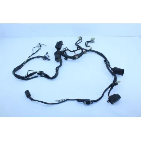 Faisceau electrique YAMAHA TDM 850 1996 - 2002