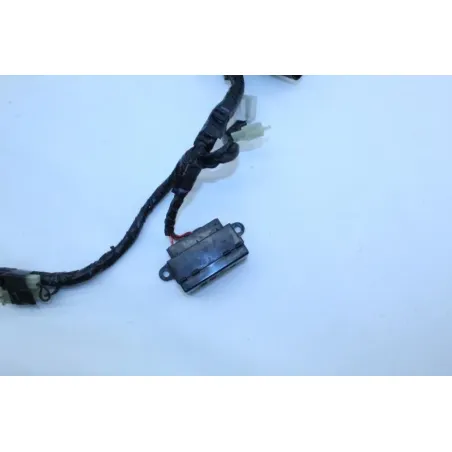 Faisceau electrique YAMAHA TDM 850 1996 - 2002