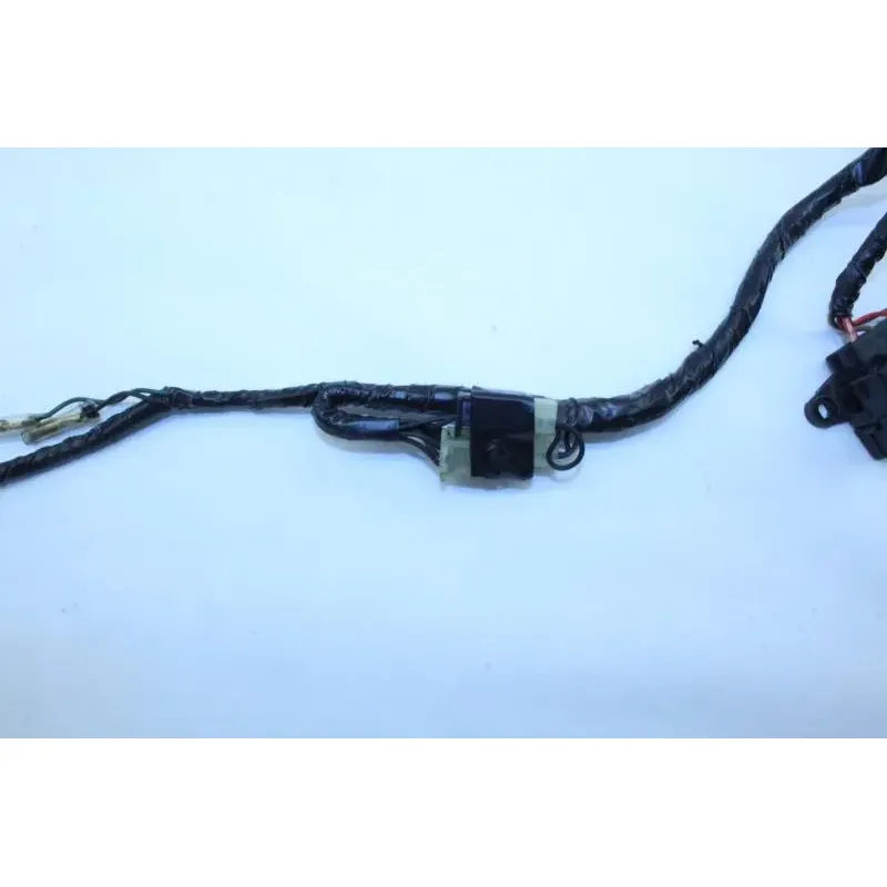 Faisceau electrique YAMAHA TDM 850 1996 - 2002