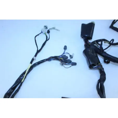 Faisceau electrique YAMAHA TDM 850 1996 - 2002